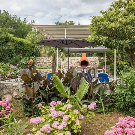 Zorica * Драмаль