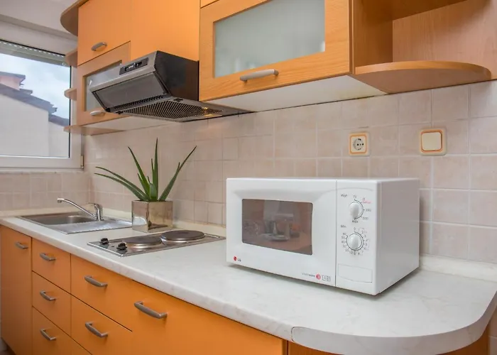 Zorica Драмаль