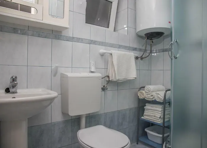 Zorica Драмаль